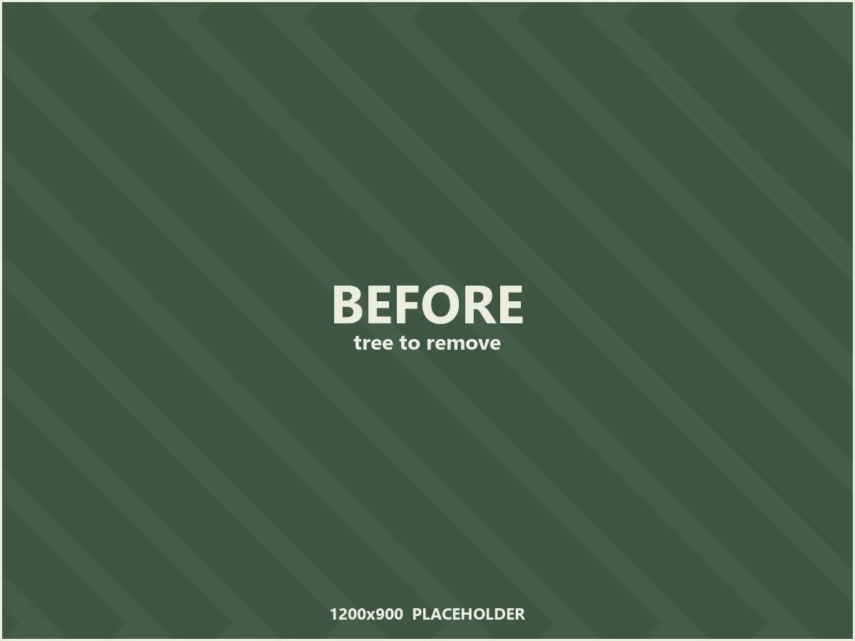 Placeholder: a tree marked for removal