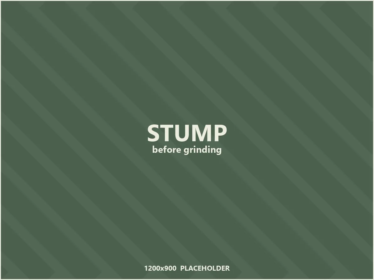 Placeholder: a tree stump before grinding