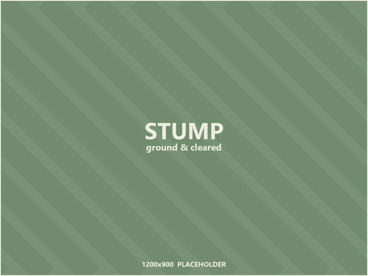 Placeholder: the stump ground down and cleared