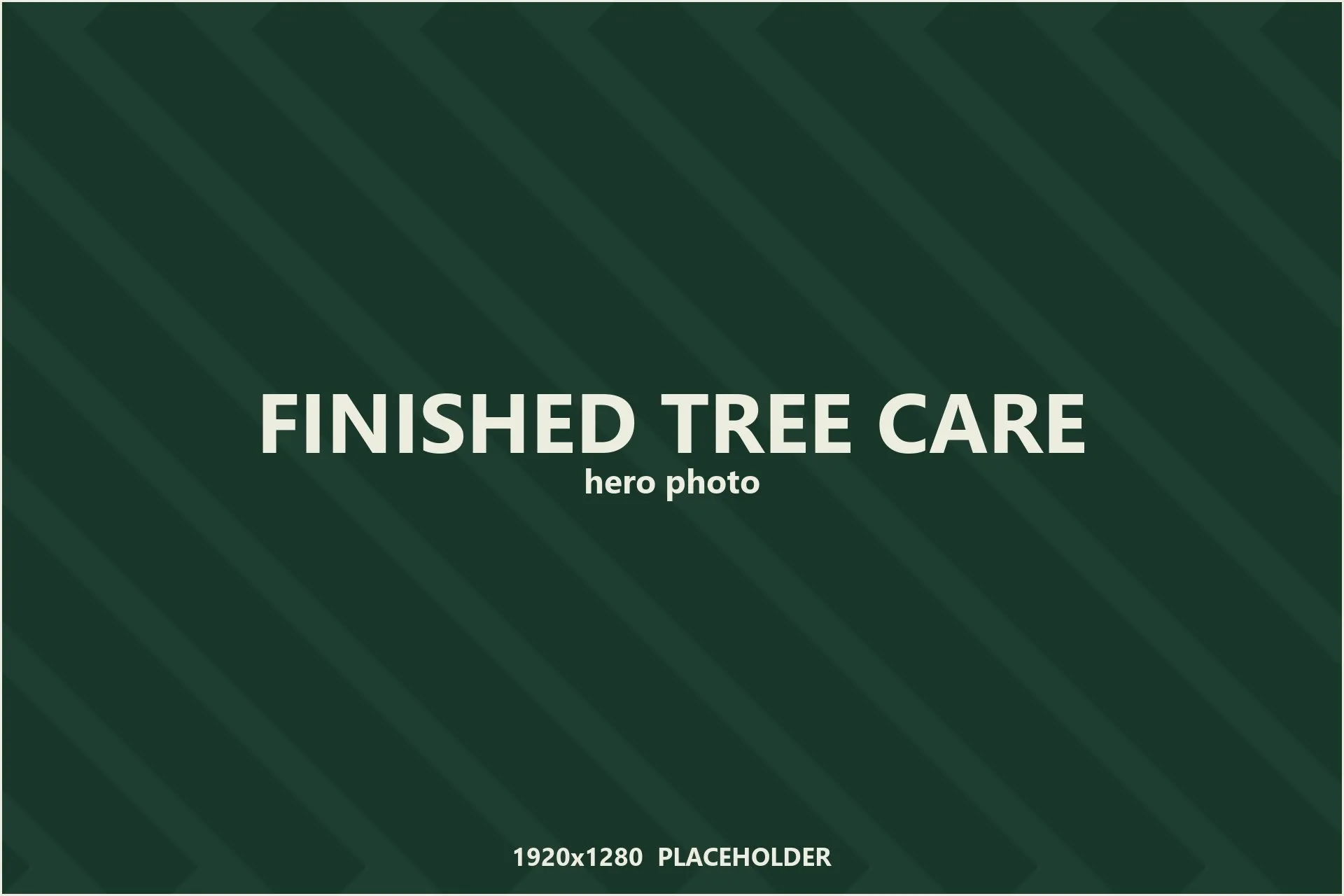 PLACEHOLDER: a finished tree-care photo goes here